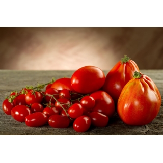 Pomidor – wysoki Red Pear