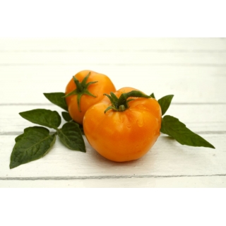 Pomidor Złoty Ożarowski
