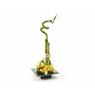 Ikebana kwadratowa do kompozycji - 19 cm - czarna