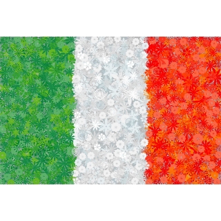 Włoska flaga - zestaw 3 odmian nasion kwiatów