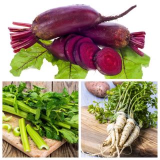 Warzywa do uprawy współrzędnej - Zestaw 1 - 3 gatunki nasion
