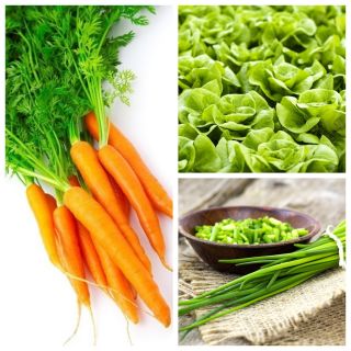 Warzywa do uprawy współrzędnej - Zestaw 6 - 3 gatunki nasion