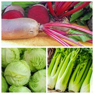 Warzywa do uprawy współrzędnej - Zestaw 7 - 3 gatunki nasion