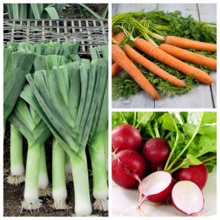 Warzywa do uprawy współrzędnej - Zestaw 8 - 3 gatunki nasion