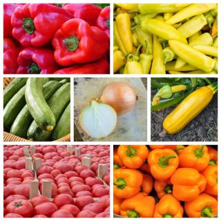 Warzywa na leczo - zestaw 7 odmian nasion