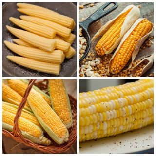Kukurydza - zestaw 4 odmian nasion warzyw