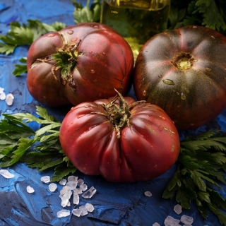 Pomidor Black Prince - gruntowy, wysoki, soczysty, słodki i aromatyczny, polecany do bezpośredniego spożycia
