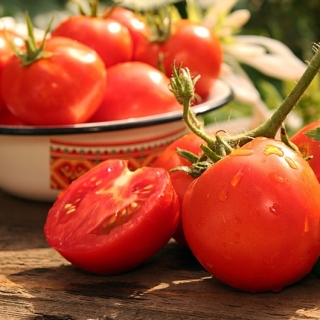 Pomidor Słonka F1 - szklarniowy