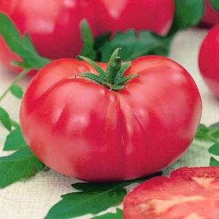 Pomidor VP1 F1 Pink King - szklarniowy, malinowy