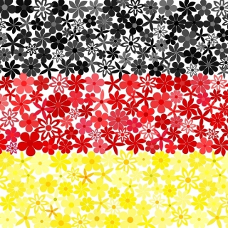 Niemiecka flaga - zestaw 3 odmian nasion kwiatów