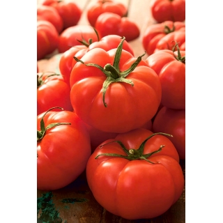 Pomidor Jutrosz - gruntowy, karłowy, wczesny, bardzo plenny, doskonały na soki