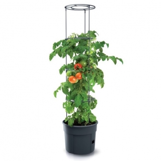 Doniczka z podporami do uprawy pomidorów - Tomato Grower - śr. 29,5 cm