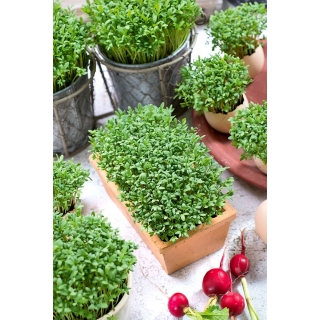 Microgreens - Rzeżucha - młode listki o unikalnym smaku - 100 gram