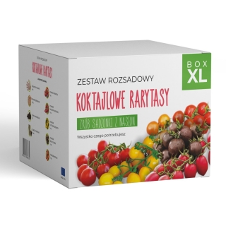 Zestaw rozsadowy pomidorów 'Koktajlowe Rarytasy' -  zrób sadzonki z nasion - Box XL
