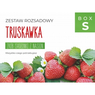 Zestaw rozsadowy 'Truskawka' - zrób sadzonki z nasion - Box S