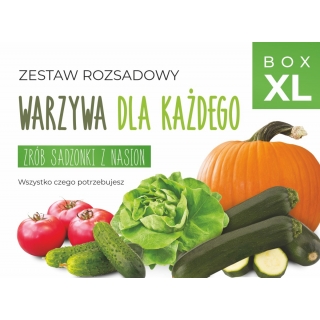 Zestaw rozsadowy 'Warzywa dla każdego' - zrób sadzonki z nasion - Box XL