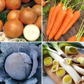 Warzywa do przechowywania - zestaw 4 odmian nasion