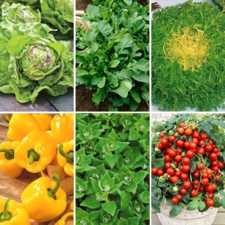 Warzywa do uprawy w skrzyniach - zestaw 6 gatunków nasion