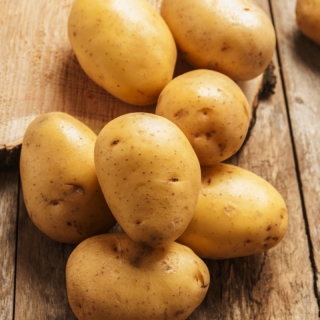 Ziemniaki, Sadzeniaki - Ignacy - wczesne - 25 kg