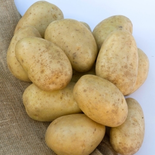 Ziemniaki, Sadzeniaki - Lilly - wczesne - 25 kg