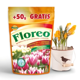 Floreo - Specjalistyczny nawóz do kwiatów cebulowych - Planta - 250 g