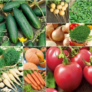 ABC Ogrodnika: warzywnik od podstaw - zestaw 10 opakowań nasion warzyw