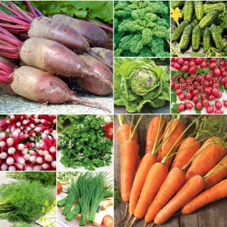 Smak Natury - zestaw warzyw dla wymagających - 10 opakowań nasion