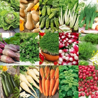 Smak Natury - zestaw warzyw dla wymagających - 15 opakowań nasion