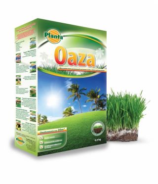 Oaza - mieszanka traw na tereny suche i nasłonecznione - Planta - 5 kg