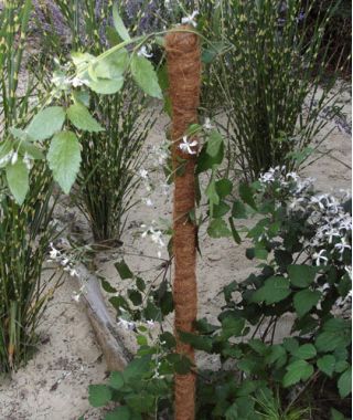 Palik kokosowy do kwiatów - 32 mm / 100 cm
