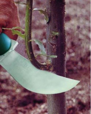 Składany nóż ogrodniczy - sierpak - RACO