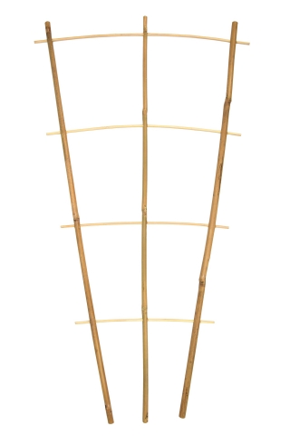 Drabinka bambusowa do kwiatów S3 - 60 cm
