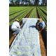 Agrowłóknina wiosenna - ochrona roślin dla zdrowych plonów - 3,20 m x 5,00 m