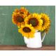 Słonecznik średnio-wysoki na kwiat cięty mieszanka