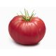 Pomidor Malinowy Warszawski - gruntowy