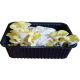 Boczniak cytrynowy - kompletny zestaw z miniszklarenką do uprawy w domu - 3 l