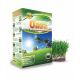 Oaza - mieszanka traw na tereny suche i nasłonecznione - Planta - 0,5 kg