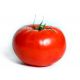 Pomidor Gigant