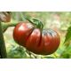 Pomidor Black Prince - gruntowy, wysoki, soczysty, słodki i aromatyczny, polecany do bezpośredniego spożycia