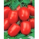 Pomidor Awizo - gruntowy, karłowy, wczesny, bardzo plenny, najbardziej odporny na zarazę ziemniaka