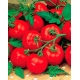 Pomidor Etna F1 - gruntowy, karłowy