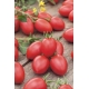 Pomidor Malinowy Smaczek - drobny, wyjątkowo orzeźwiająco-pomidorowy smak