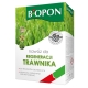 Nawóz do regeneracji trawnika - Biopon - 3 kg