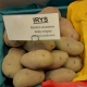 Ziemniaki, Sadzeniaki - Irys - bardzo wczesne - 25 kg