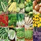 Warzywne Odkrycia: Na dobry start - zestaw 15 opakowań nasion