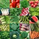 Warzywny Starter - zestaw 20 opakowań nasion warzyw