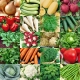 Łatwy Start: Twoje pierwsze warzywa - zestaw 20 opakowań nasion