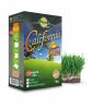 California Sun - mieszanka traw gazonowych na tereny słoneczne i suche - Planta - 1 kg